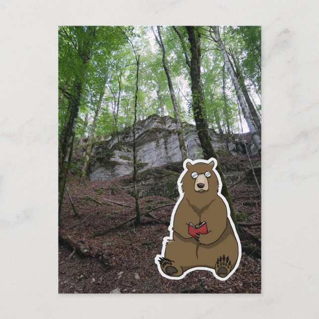 Carte Postale Reader Bear (color) (Devant)
