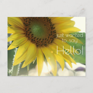 Carte Postale "Recherché De Dire Bonjour !" Soleil brillant 