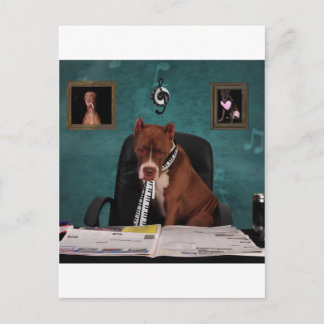 Carte Postale Recherche de talent