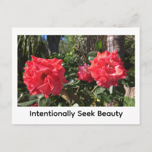 Carte Postale Rechercher intentionnellement la beauté