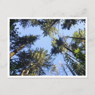 Carte Postale Recherchez