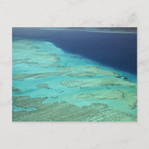 Carte Postale Récif barrière de Malolo au large de l'île de Malo