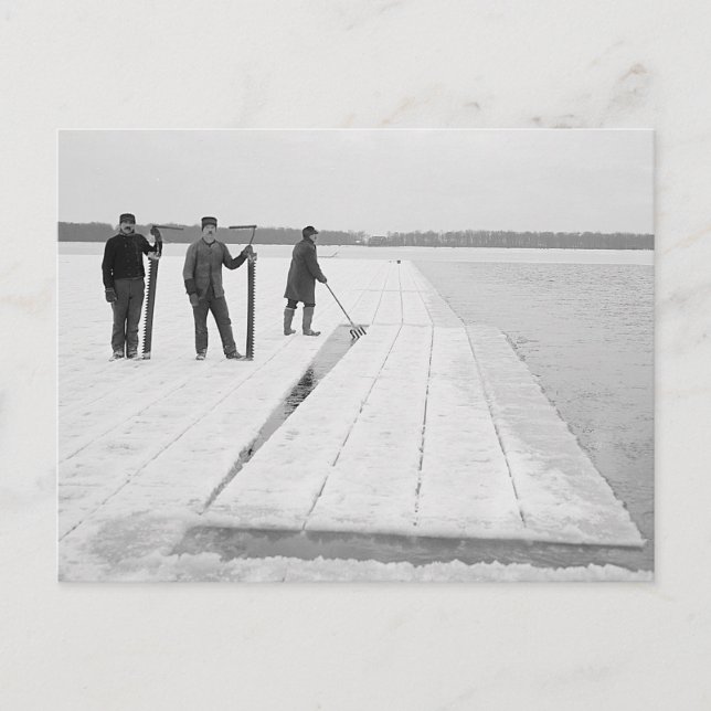 Carte Postale Récolte de blocs de glace, 1906 (Devant)