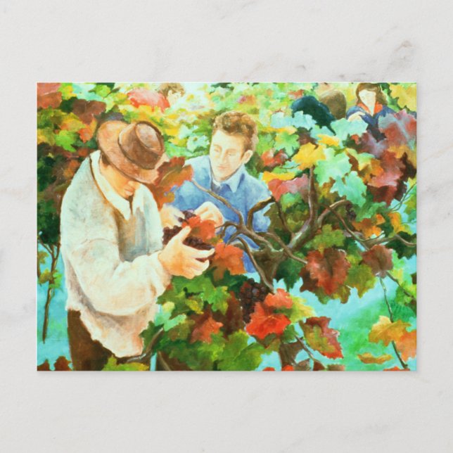 Carte Postale Récolteuses 1996 de raisin (Devant)