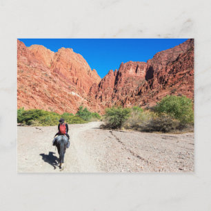 Carte Postale Recorriendo los valles de Tupiza, Bolivie.