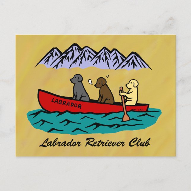 Carte Postale Récupérateurs Canoeing Labrador (Devant)