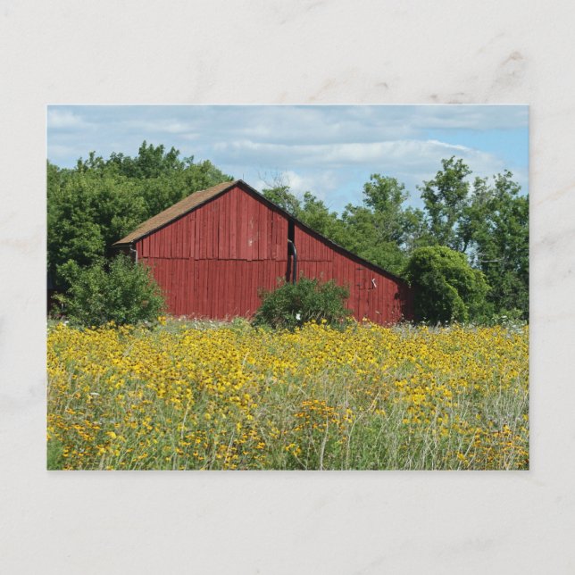 Carte postale Red Barn (Devant)