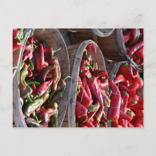 Carte Postale Red Chili