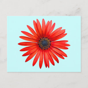 Carte Postale Red Devil