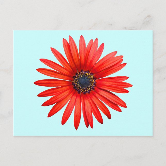 Carte Postale Red Devil (Devant)