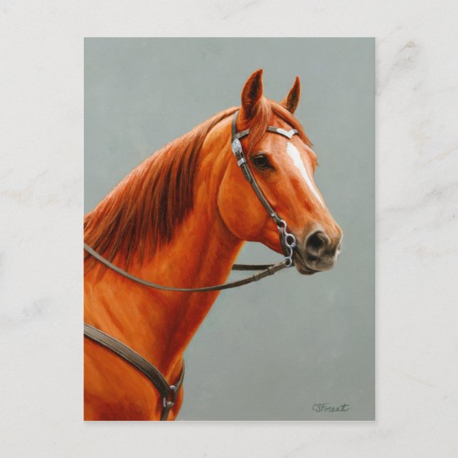 Carte Postale Red Dun Chestnut (Devant)