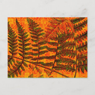 Carte postale Red Fern