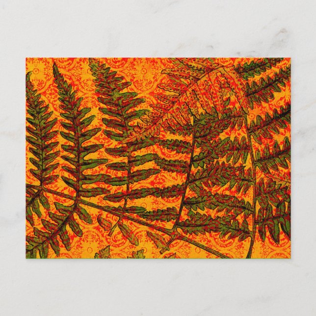 Carte postale Red Fern (Devant)