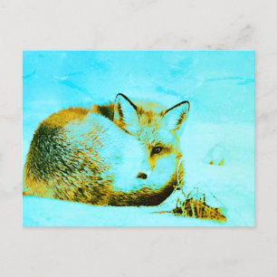 Carte Postale *~* Red Fox Ap18 Artistic Animaux Animaux