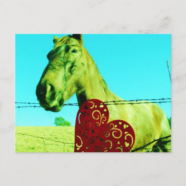 Carte Postale Red Heart and Horse (Devant)