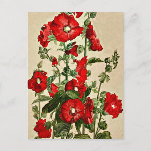 Carte Postale Red Hollyhocks