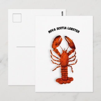 Carte Postale Red Lobster Postcard