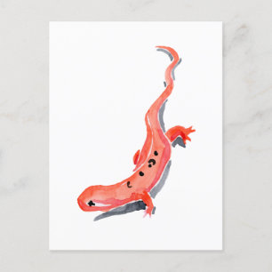Carte Postale Red Newt