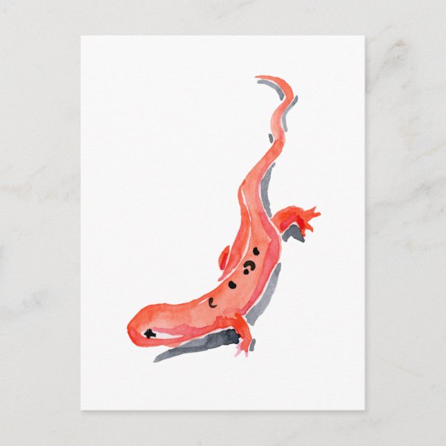 Carte Postale Red Newt (Devant)