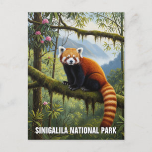 Carte Postale Red Panda dans le parc national de Singalila Voyag