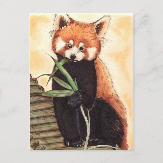 Carte Postale Red Panda Nom (Devant)