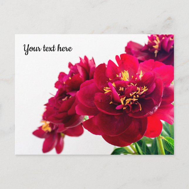 Carte postale Red Peony (Devant)