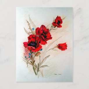 Carte Postale Red Poppies