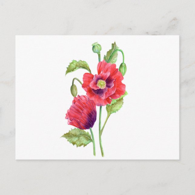 Carte Postale Red Poppies Floral Art (Devant)