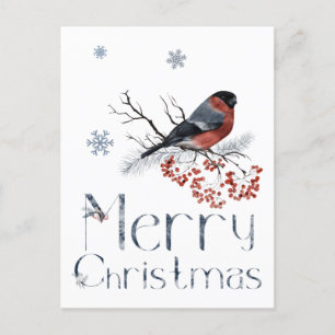 Carte Postale Red Robin Bird Se Trouve Sur Une Branche De Rowan