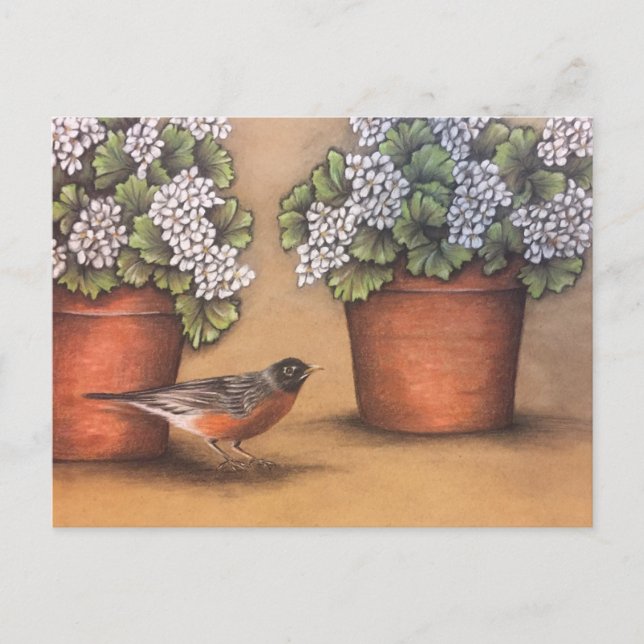 Carte Postale Red Robin et White Geraniums (Devant)
