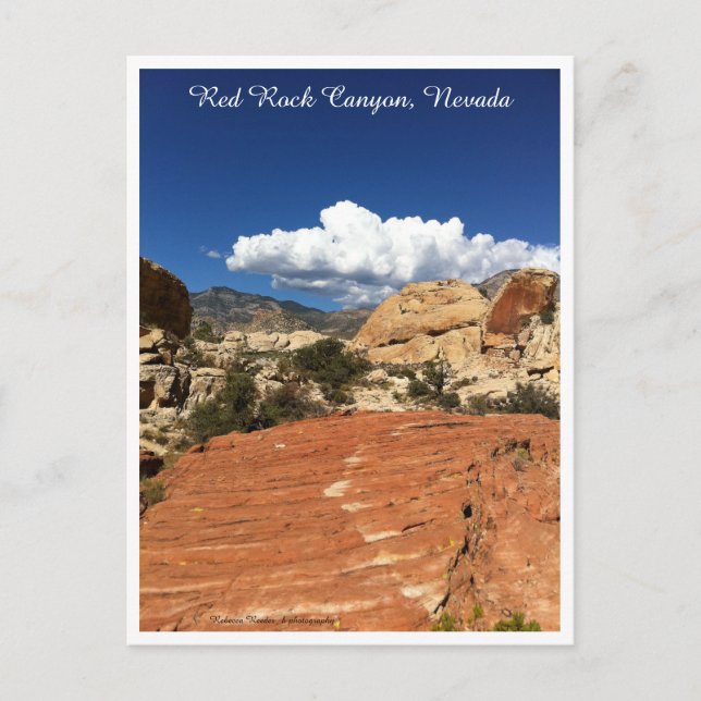 Carte Postale Red Rock Canyon, Nevada (Devant)