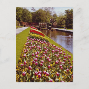 Carte Postale Red Roundhay Park, Leeds, fleurs d'Angleterre