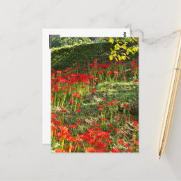 Carte Postale Red Spider Lily ポ a été ー ド