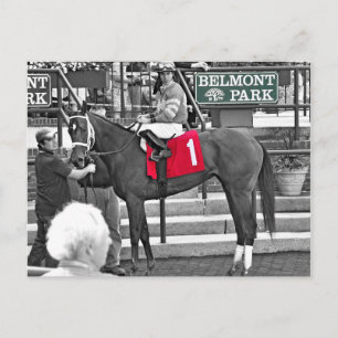 Carte Postale Red Velvet remporte le Jersey Girl Stakes