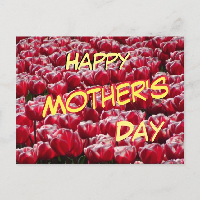 Carte postale Red White Tulips Motif Fête des mère (Devant)