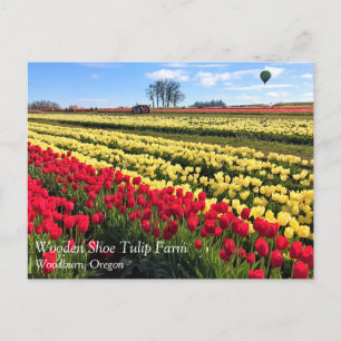 Carte Postale Red & Yellow Tulip Field with Hot Air Balloon