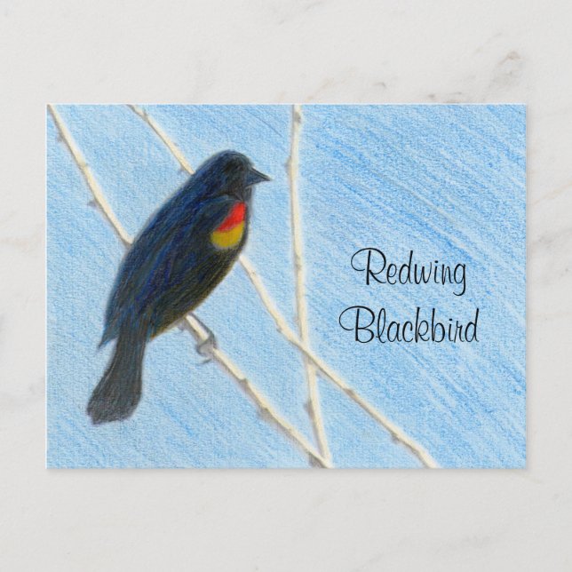 Carte postale Redbird Nature (Devant)