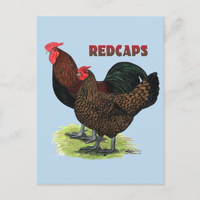 Carte Postale Redcaps anglais (Devant)