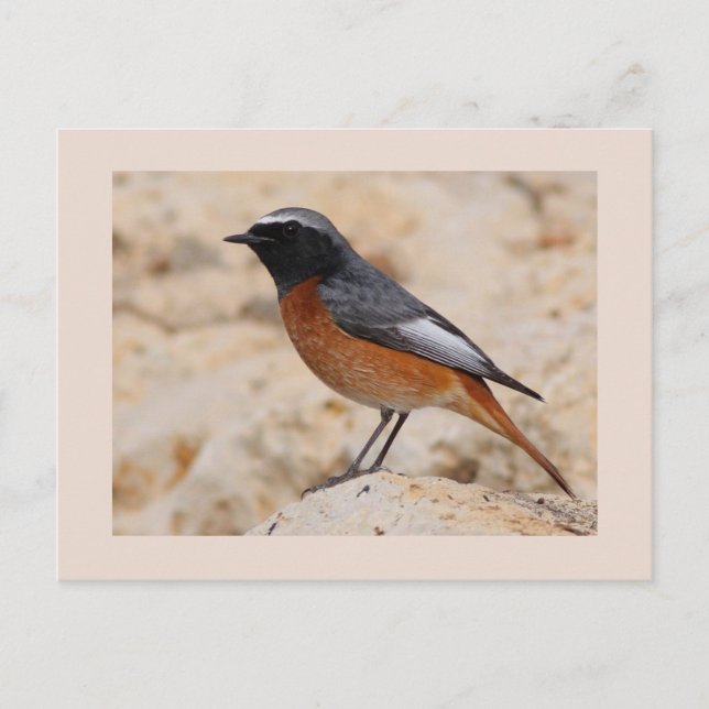 Carte Postale Redémarrage (Devant)