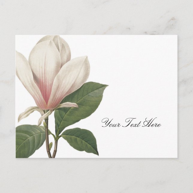 Carte Postale Redoute Magnolia (Devant)