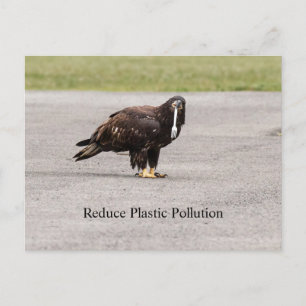 Carte Postale Réduire La Pollution Plastique