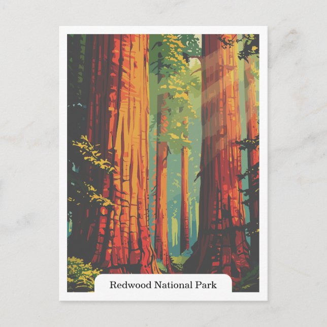 Carte Postale Redwood National and State Parks, Californie États (Devant)