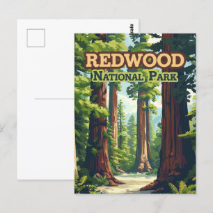 Carte Postale Redwood National Park California Tree Retro