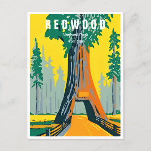 Carte Postale Redwood National Park Californie Forêt Vintage