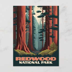 Carte Postale Redwood National Park Californie Trees