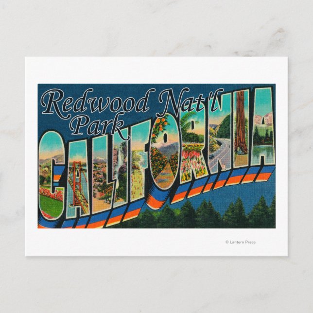 Carte Postale Redwood Nat'l Park, Californie (Devant)