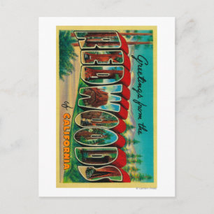 Carte Postale Redwoods, Californie - Scènes de grandes lettres