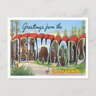 Carte Postale Redwoods, Californie Vintage Big Letters