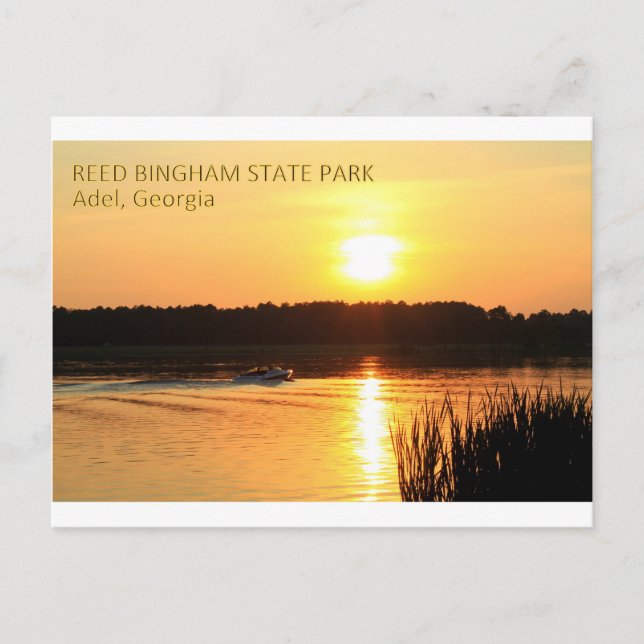 Carte Postale REED BINGHAM STATE PARK - Adel, Géorgie (Devant)
