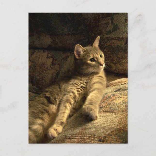 Carte Postale Réfléchi (Devant)